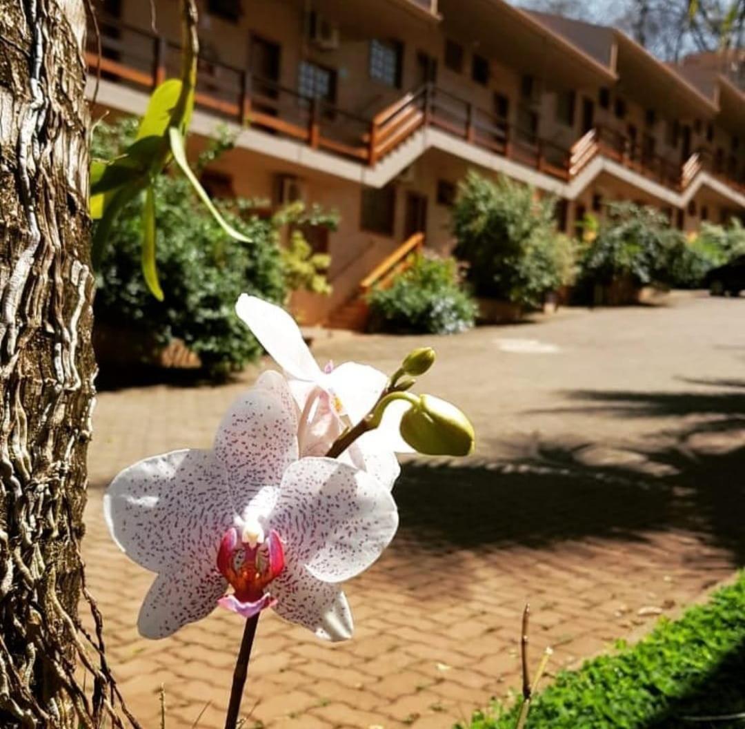Hotel Pousada Santa Rita Ribeirão Preto Exterior foto